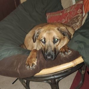 Meet your Posher, Jodi